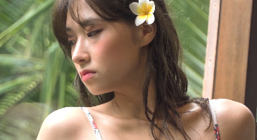 Strikingdash Contact