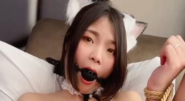 Strikingdash Contact