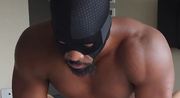 Strikingdash Contact