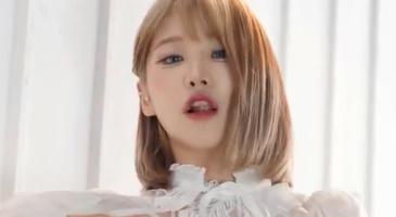 Strikingdash Contact