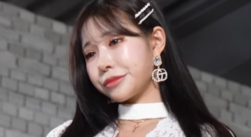 Strikingdash Contact