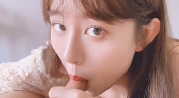 Strikingdash Contact