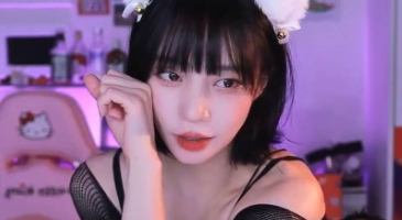 Strikingdash Contact