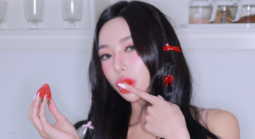 Strikingdash Contact