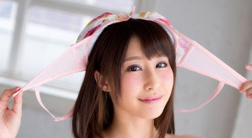 Strikingdash Contact