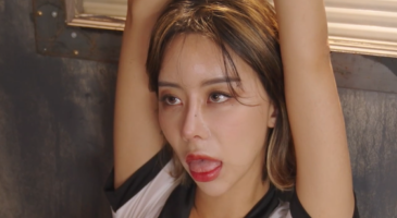 Strikingdash Contact