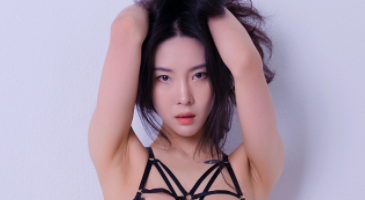 Strikingdash Contact