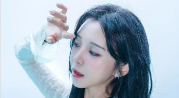 Strikingdash Contact