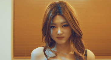 Strikingdash Contact